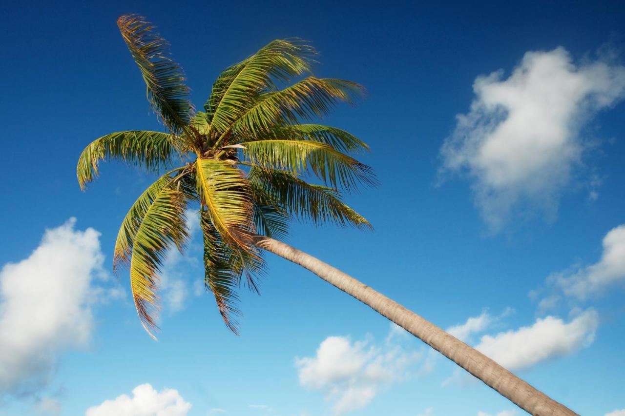 Araam Stay Hulhumale Ngoại thất bức ảnh